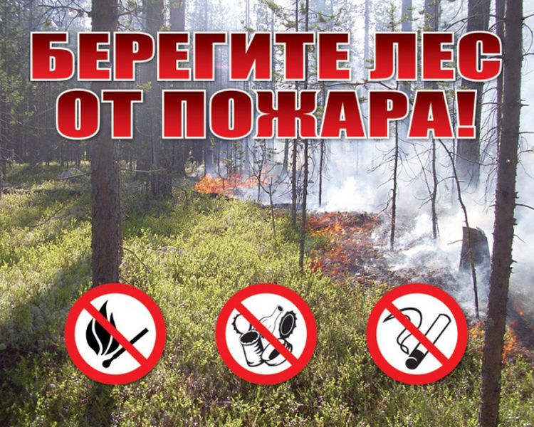ТОНДиПР  информирует.