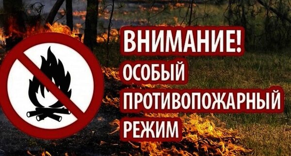 В период с 14 апреля по 14 июня 2025 года в Тарском муниципальном районе будет действовать особый противопожарный режим..