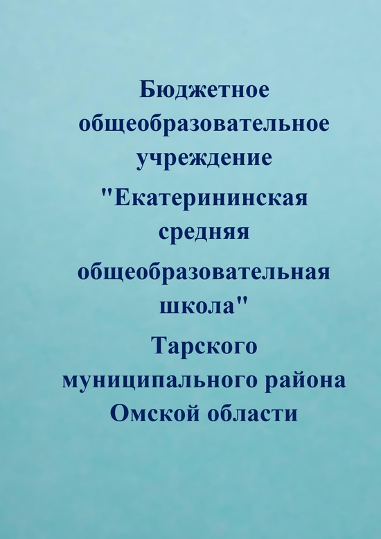 Директор Мухамадеев Тимур Вафиевич.