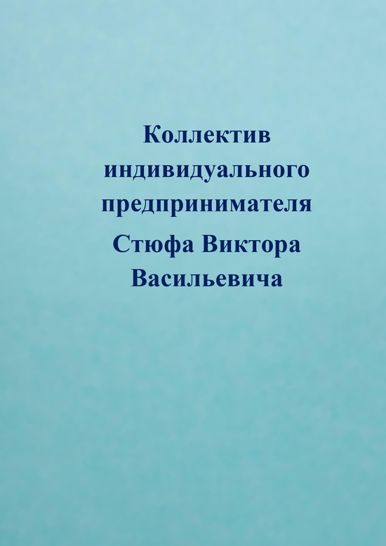 Руководитель Стюф Виктор Васильевич.