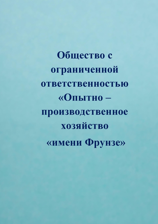 Генеральный директор Гекман Владимир Александрович.